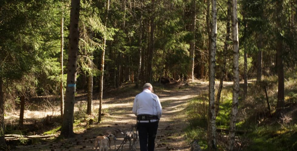 Arnulf g&aring;r i skogen