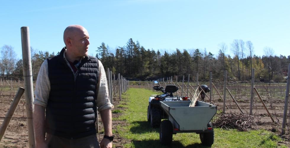 Borander ser utover &aring;keren sin.