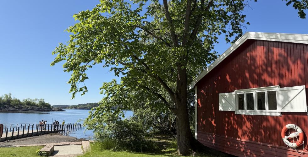 Hoved&oslash;ya i mai 