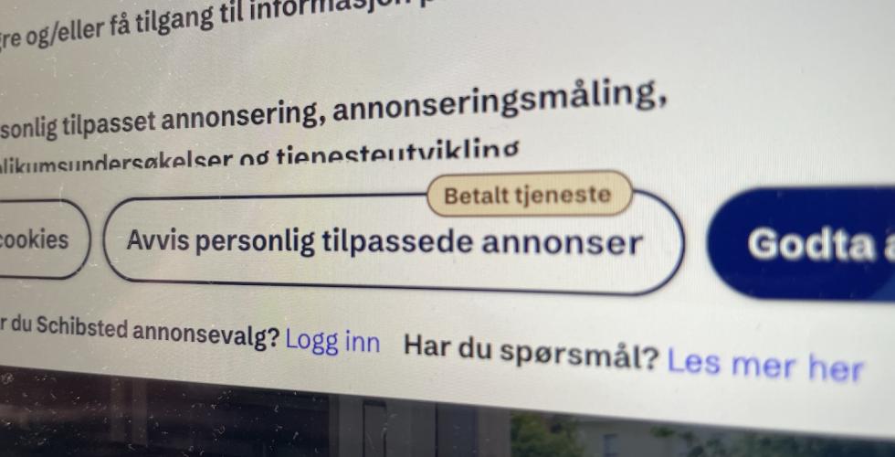 Personvernerkl&aelig;ring hos en av Schibsted sine nettsider.