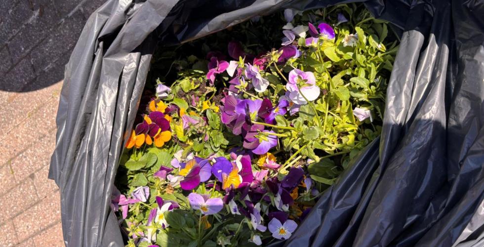 Blomster i s&oslash;ppelpose