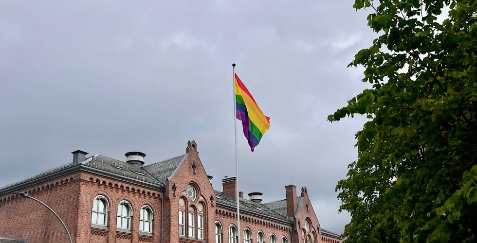 Prideflagg i en skoleg&aring;rd.