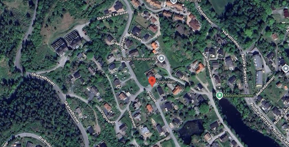 Vognveien, S&aelig;tre