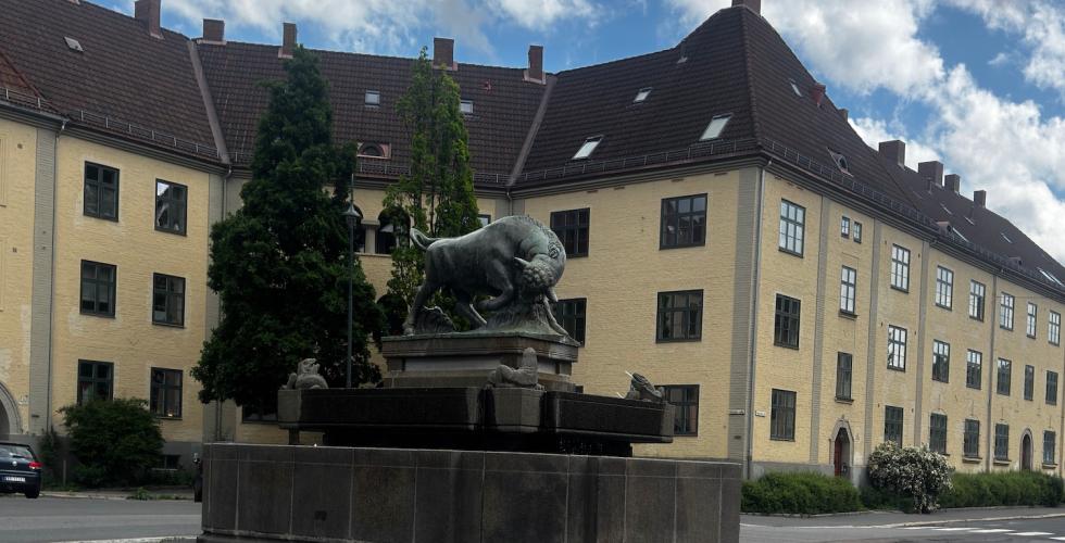 Oksen p&aring; Torshov