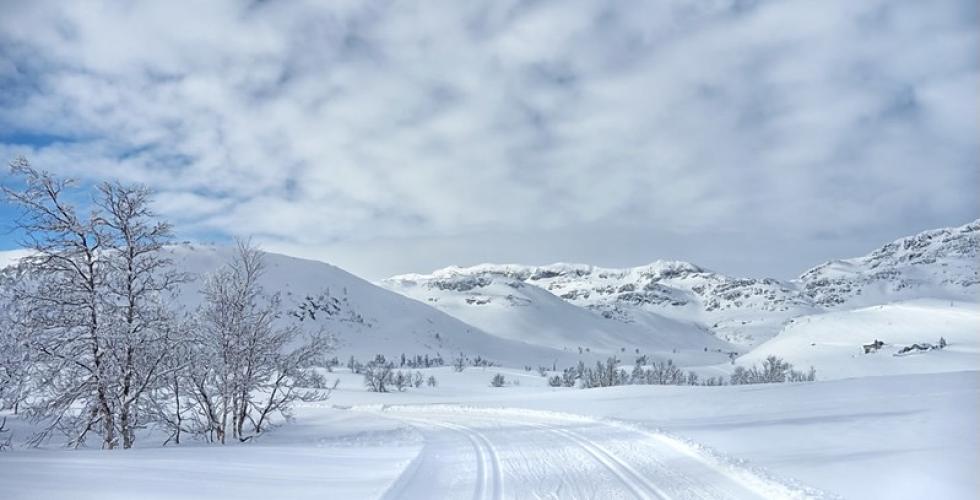 snøfylte skiløyper