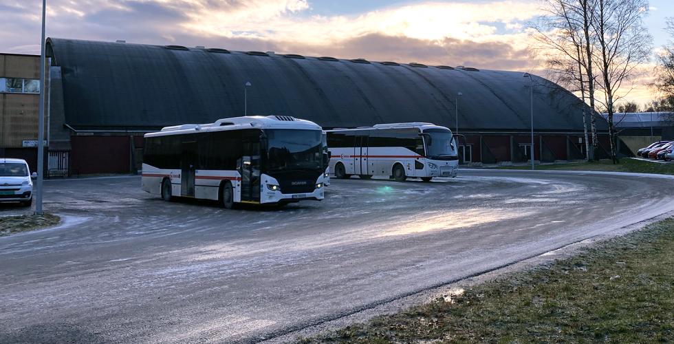 Bussene venter på å kjøre studenter. Foto: Mari Roland. 