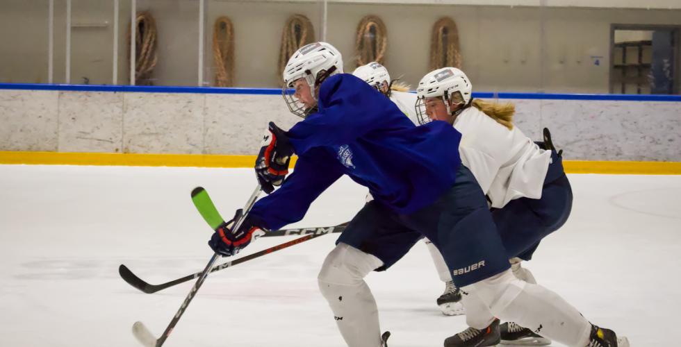 To hockeyspillere i kamp om pucken