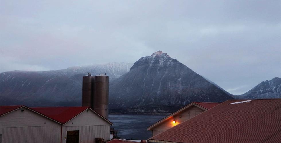 Gimsøy fiskemottak som ligger ved Gimsøystraumen i Lofoten. 