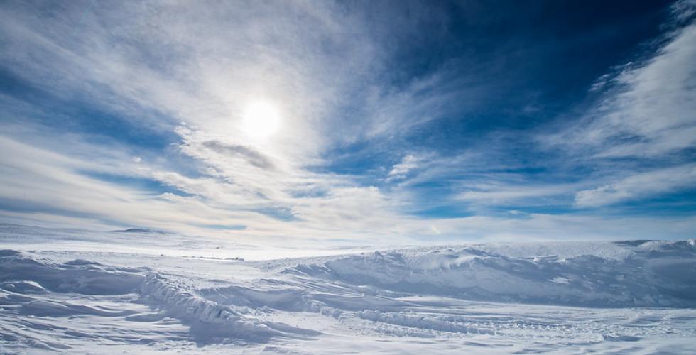 Bilde av Hardangervidda 