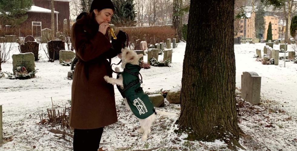 Hundeeier Silje Sibel leker med terrier-hunden sin. 