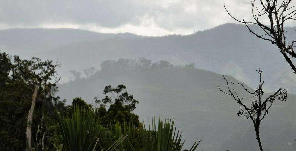 Dusky view of tropical mountains