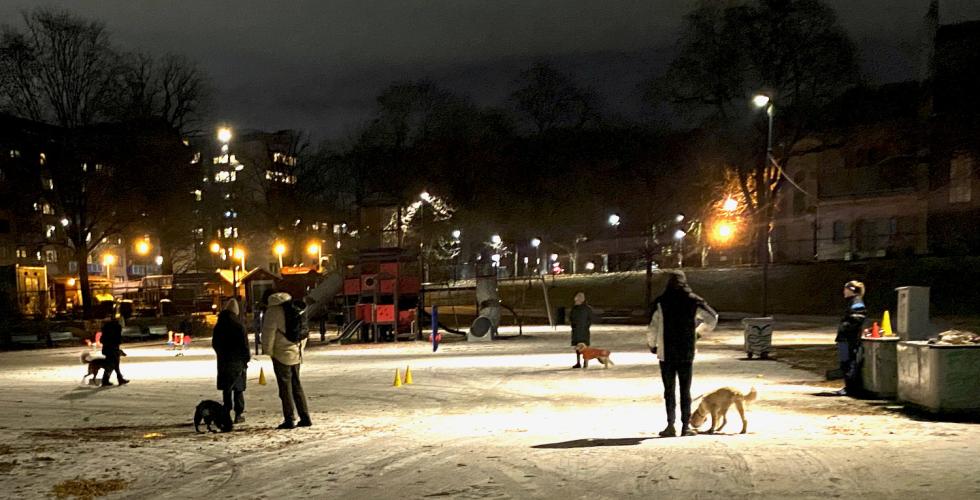 Hundekurs i Sofienbergparken