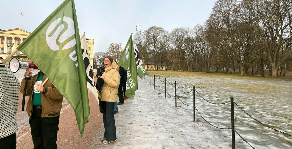 Jente med flagg på slottsplassen