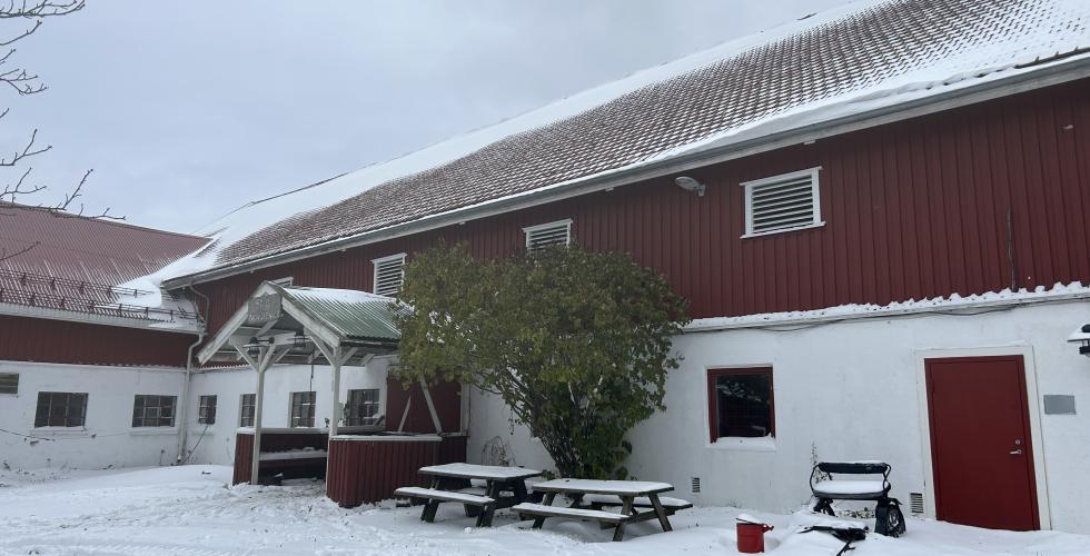 Utenfor Nordtvedt stall på Nordtvedt gård