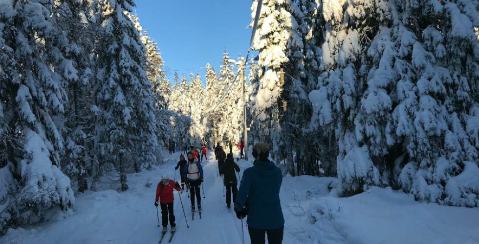 Mennesker som går på ski etter hverandre i marka