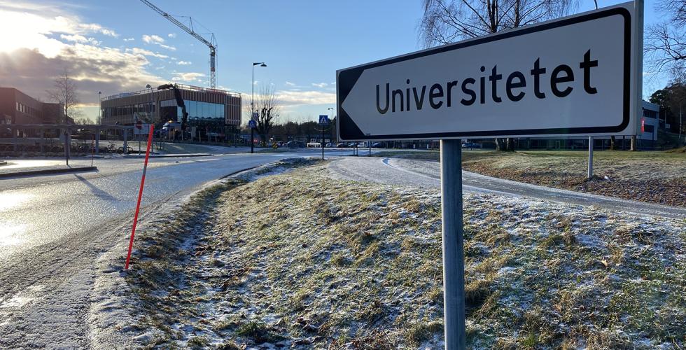 Studenter fra Agder vil ikke få gratis busskort. Foto: Mari Roland. 