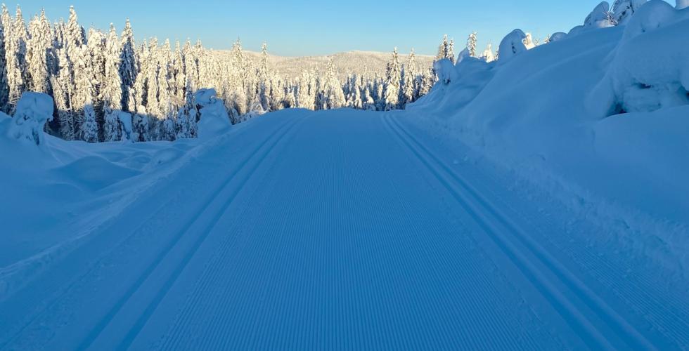 Skispor i Snøploghøgda i Nordmarka.