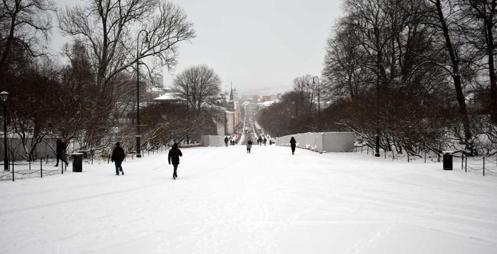 Slottsplassen og Karl Johan