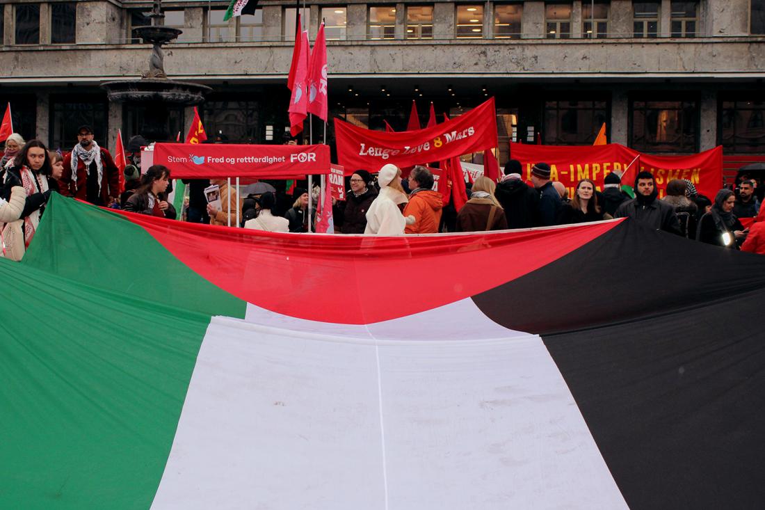 Stort Palestinaflagg